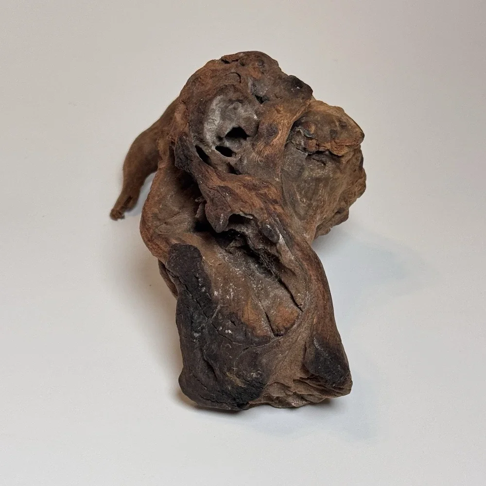 Natural Driftwood Root Sculpture Aquarium Aquascape Terrarium Wood 9.5